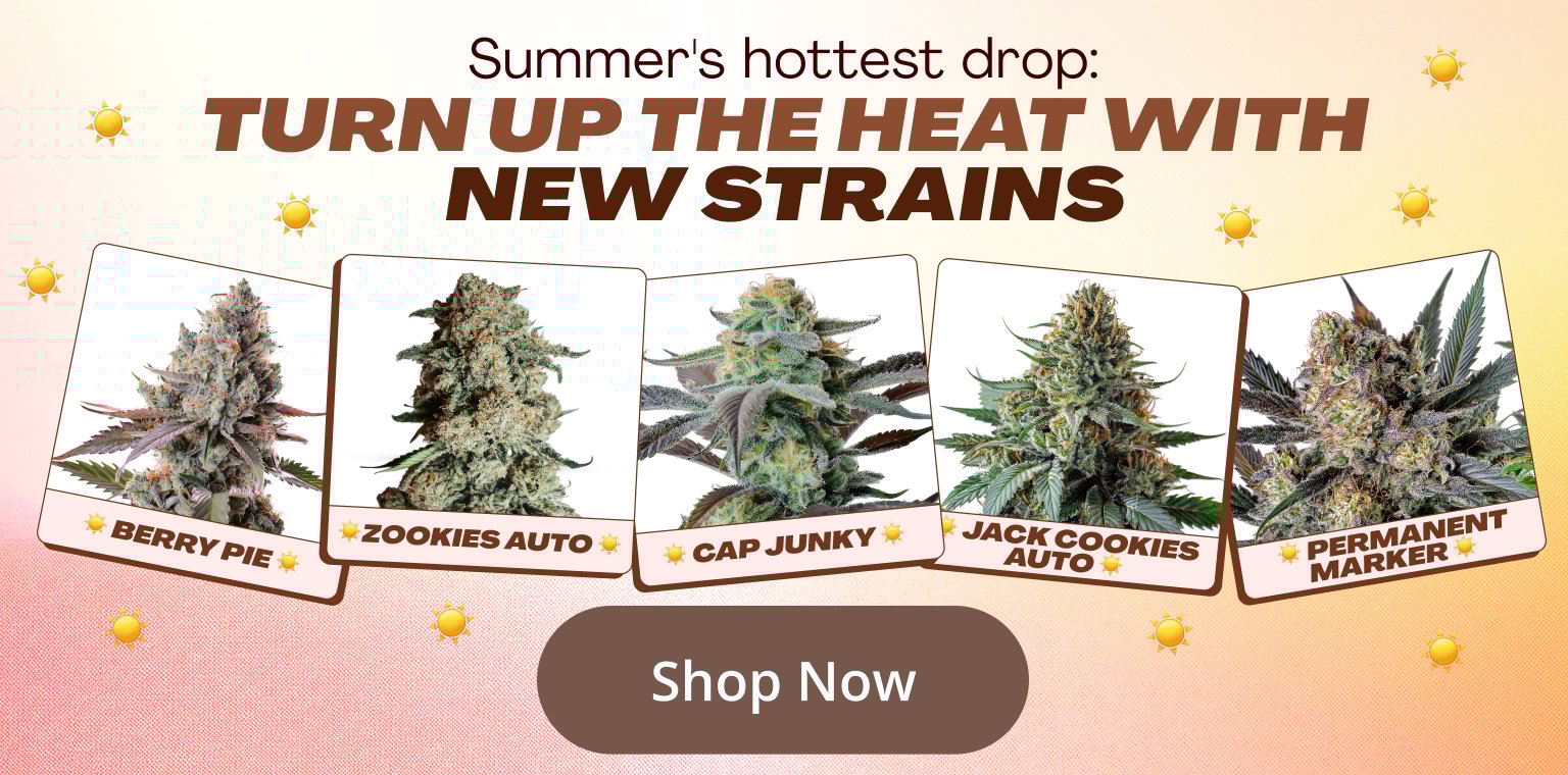 4th of July Sale