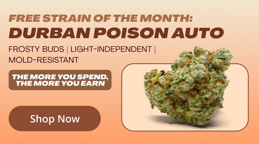 4th of July Sale