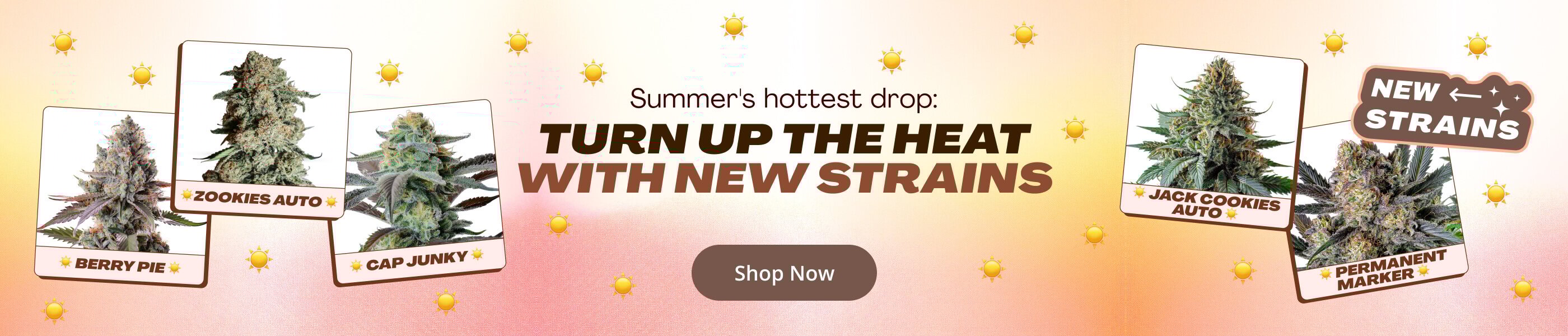 4th of July Sale