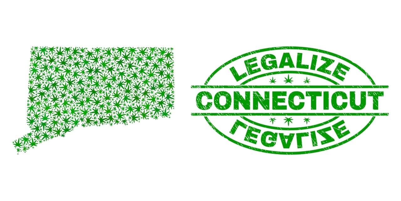 Cannabis Seeds in Connecticut