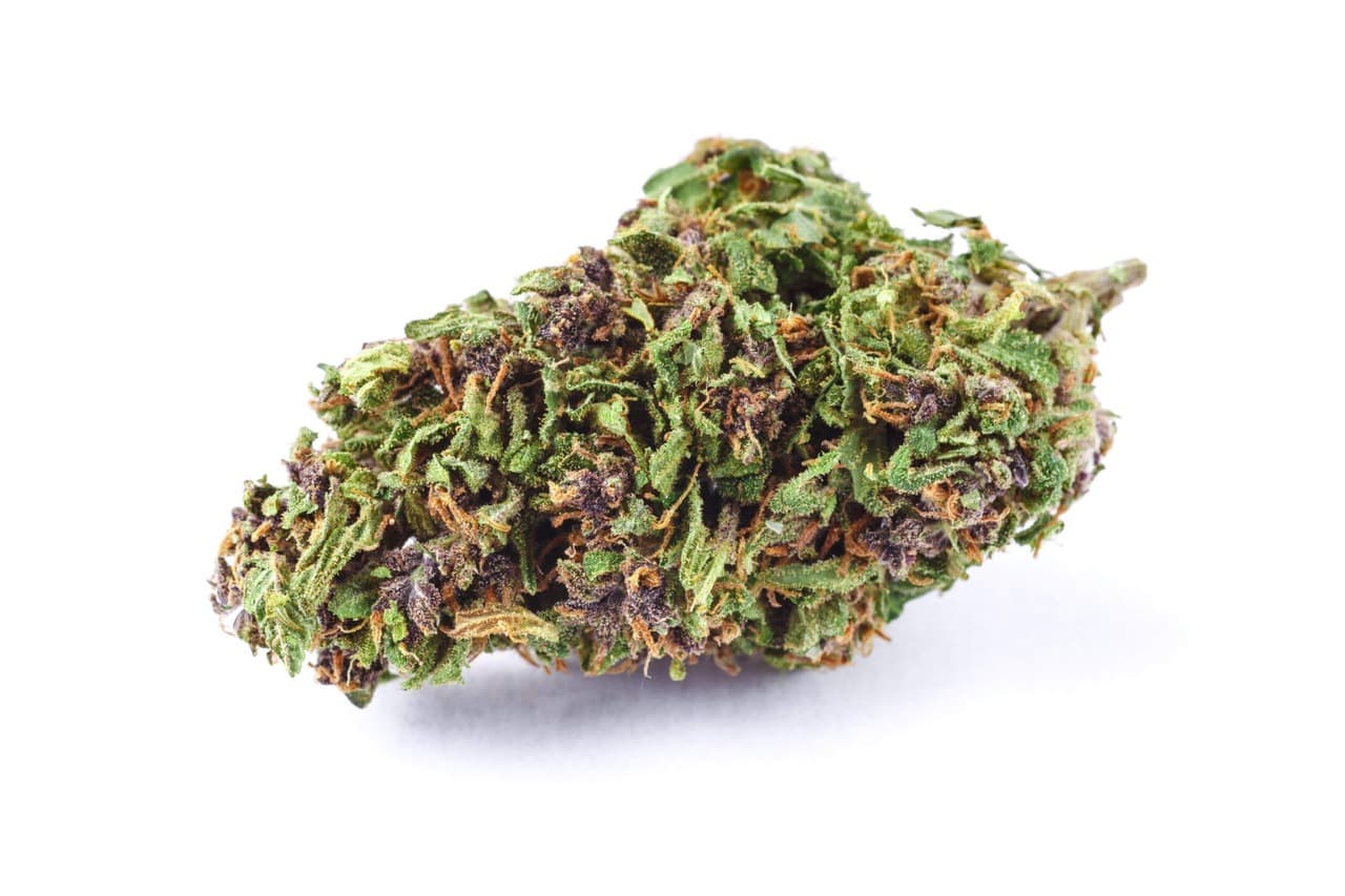 High Yield Seeds