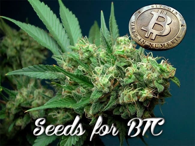 buying seeds without bitcoin