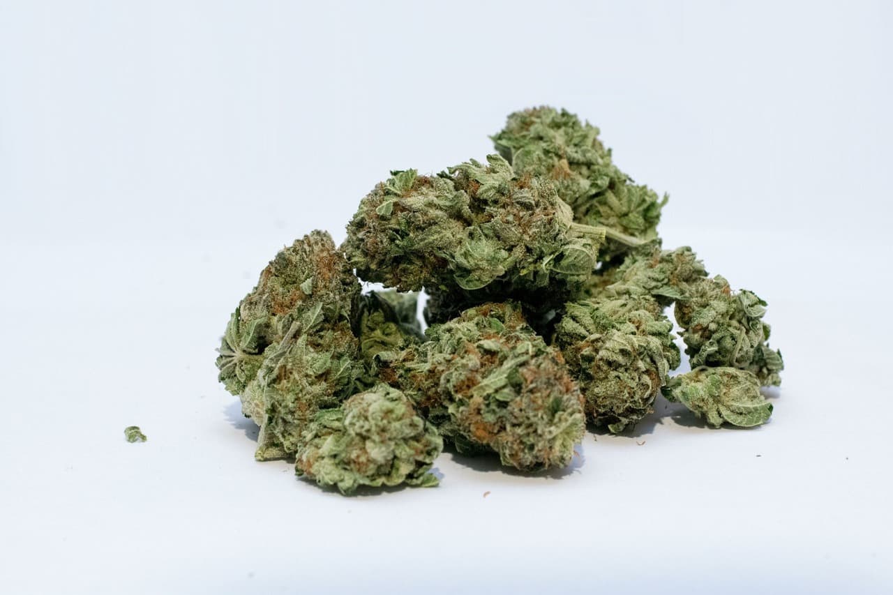 hybrid strains