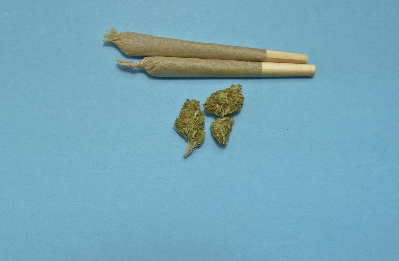 hybrid strains