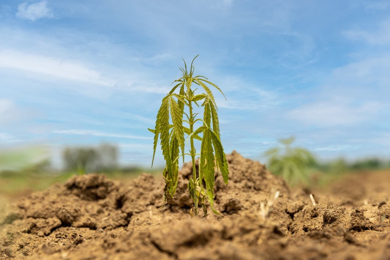 Managing Heat Stress Outdoors