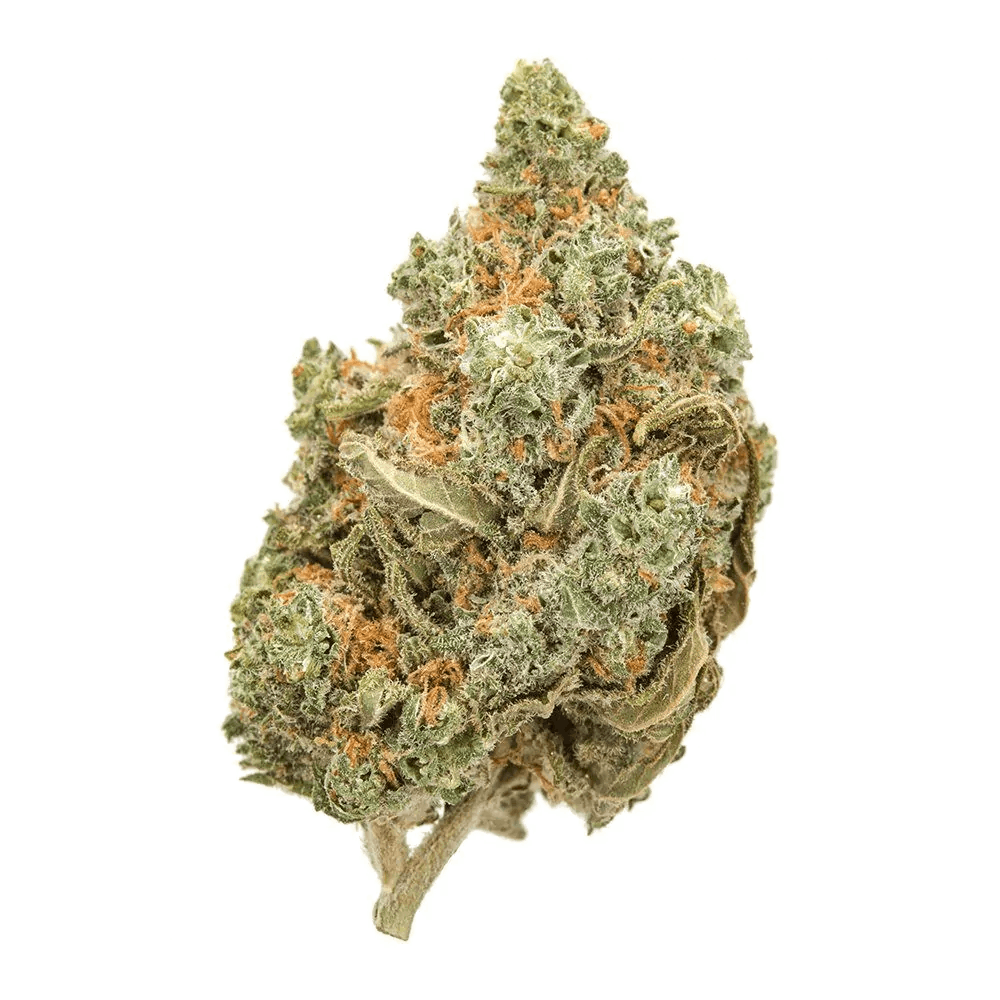 High THC Seeds | 180+ Strains With Over 20% | SeedSupreme