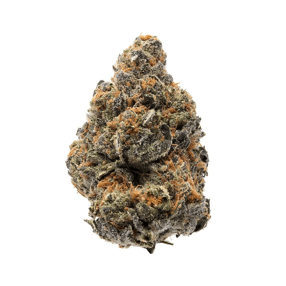 Girl Scout Cookies x Blue Headband feminized