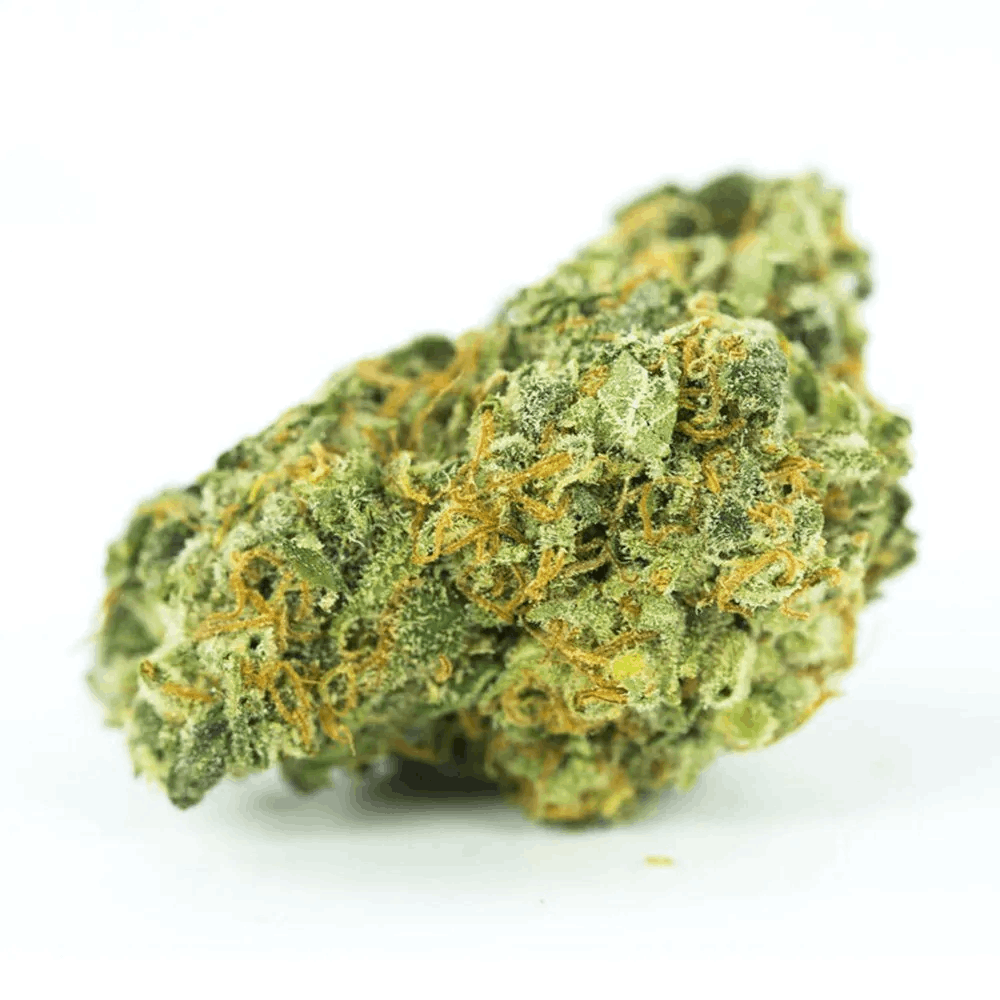 Gorilla Glue #4 feminized