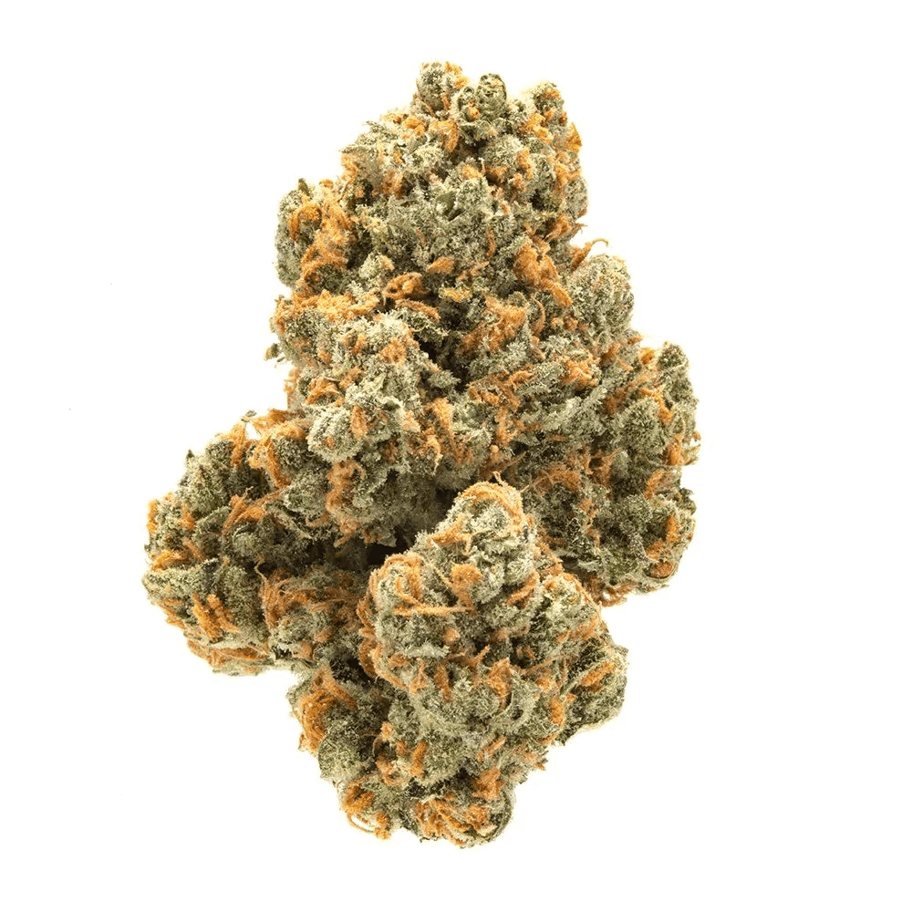 green crack feminized