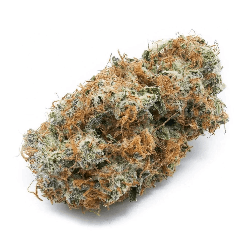 Harlequin feminized