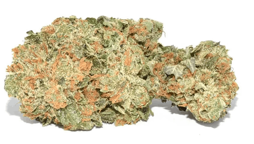 Trainwreck feminized