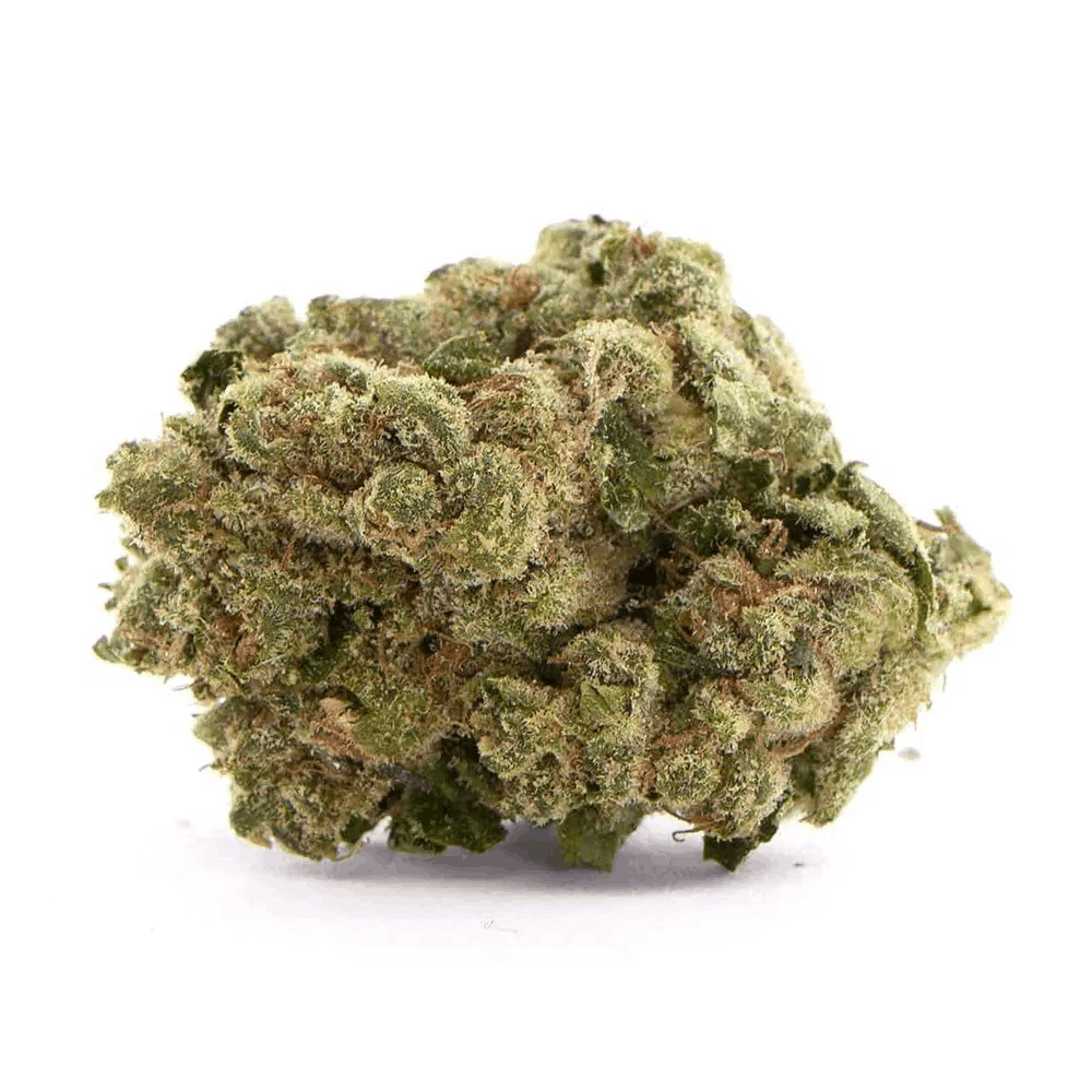 Sour Diesel autoflower