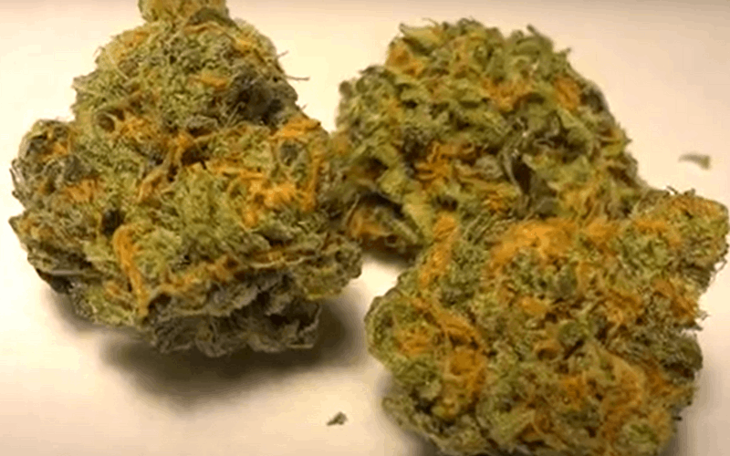 blue dream strain for libido and arousal