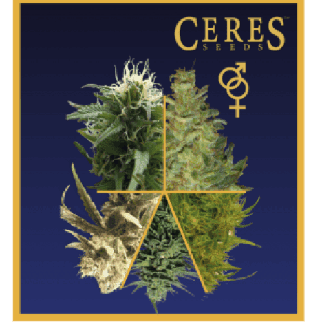 Ceres Seeds seed bank