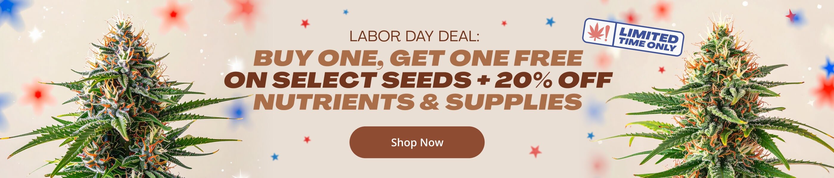 labor day sale