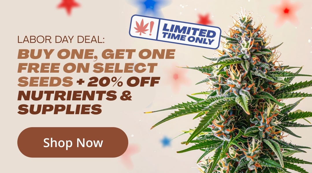 labor day sale