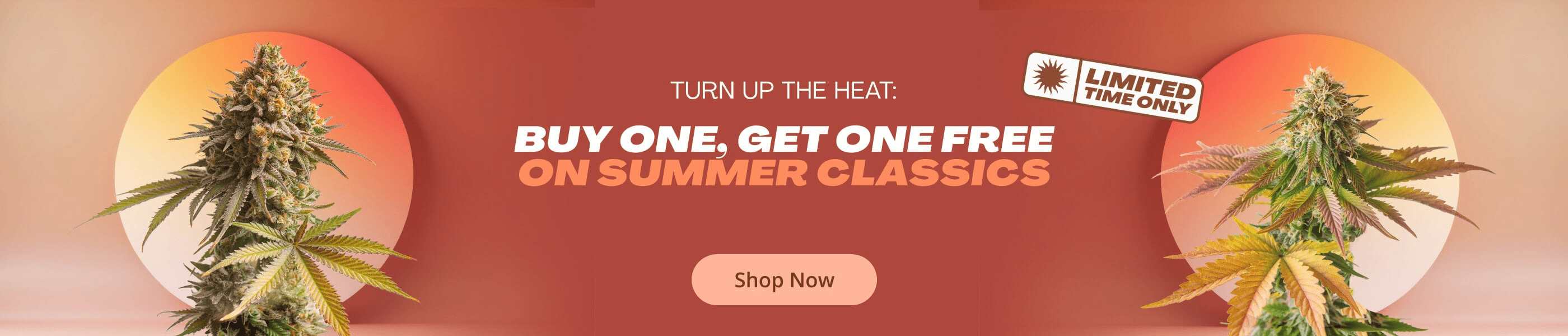 4th of July Sale