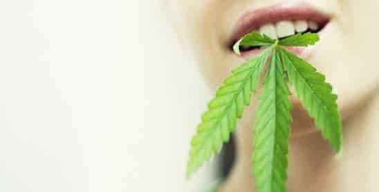 eminized-cannabis-seeds