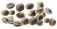 Pack Size: 25 Seeds